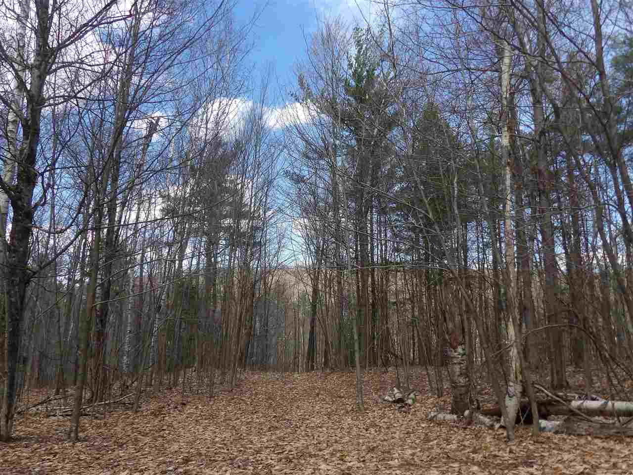 Lot 2 Charlestown Road Acworth, NH 03601 - Photo 5 of 9 Gallery Image 5
