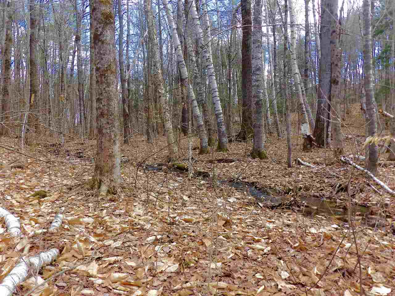 Lot 2 Charlestown Road Acworth, NH 03601 - Photo 6 of 9 Gallery Image 6
