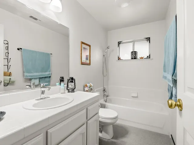 a view of a yard with plants