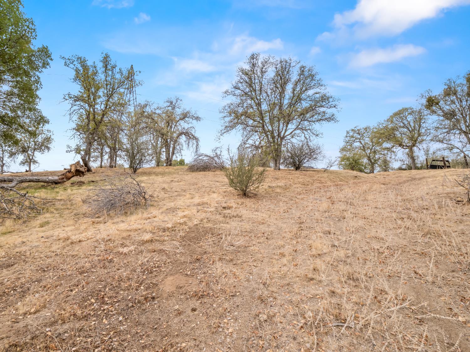 845 Elwood Road Squaw Valley, CA 93675 - Photo 49 of 67 a view of dirt yard with a large tree