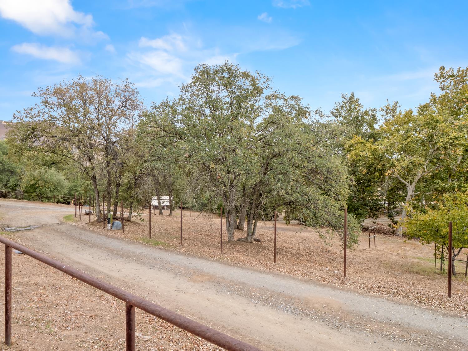 845 Elwood Road Squaw Valley, CA 93675 - Photo 52 of 67