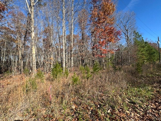 Chestnut Grove Road Appomattox, VA 24522 - Photo 6 of 8 Gallery Image 6