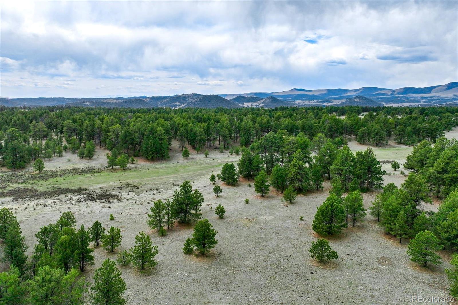 103 Doe Valley Road Guffey, CO 80820 - Photo 35 of 46