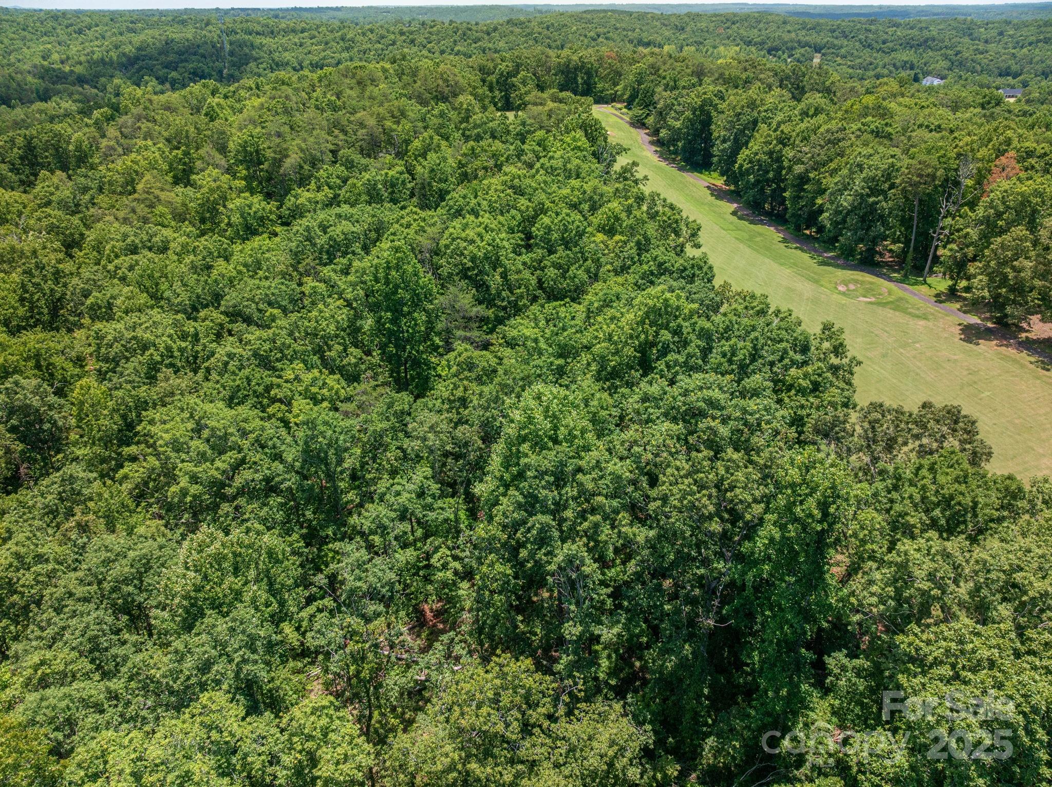 Lot 217 Plantation Drive Rutherfordton, NC 28139 - Photo 5 of 15 an aerial view of residential houses with outdoor space and trees