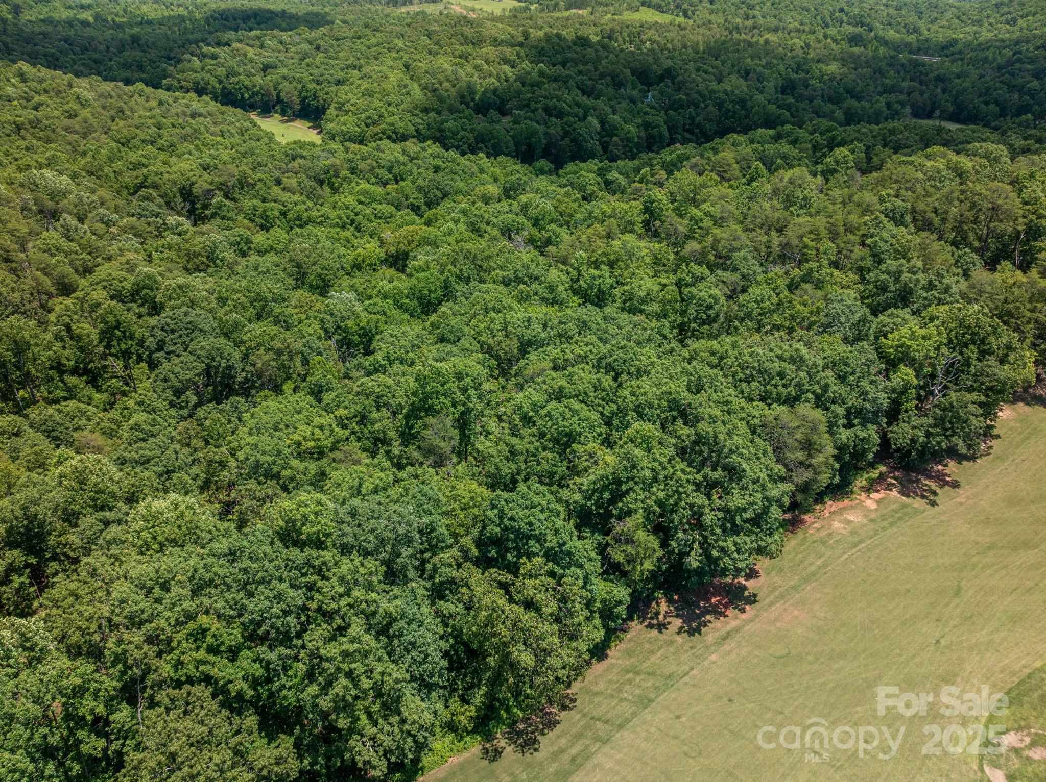 Lot 217 Plantation Drive Rutherfordton, NC 28139 - Photo 6 of 15 a view of a forest with a street
