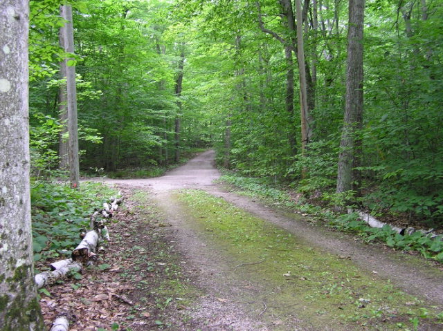 Wilcox Road Washington Island, WI 54246 - Photo 1 of 1