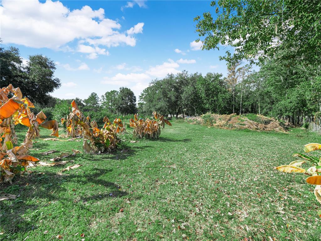 12524 Rockridge Road Lakeland, FL 33809 - Photo 3 of 10 a view of a park with large trees