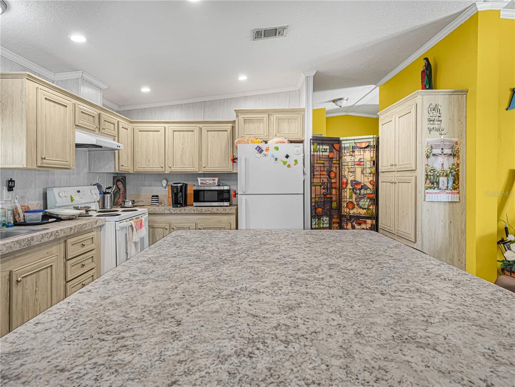 12524 Rockridge Road Lakeland, FL 33809 - Photo 8 of 10 a kitchen with refrigerator and cabinets