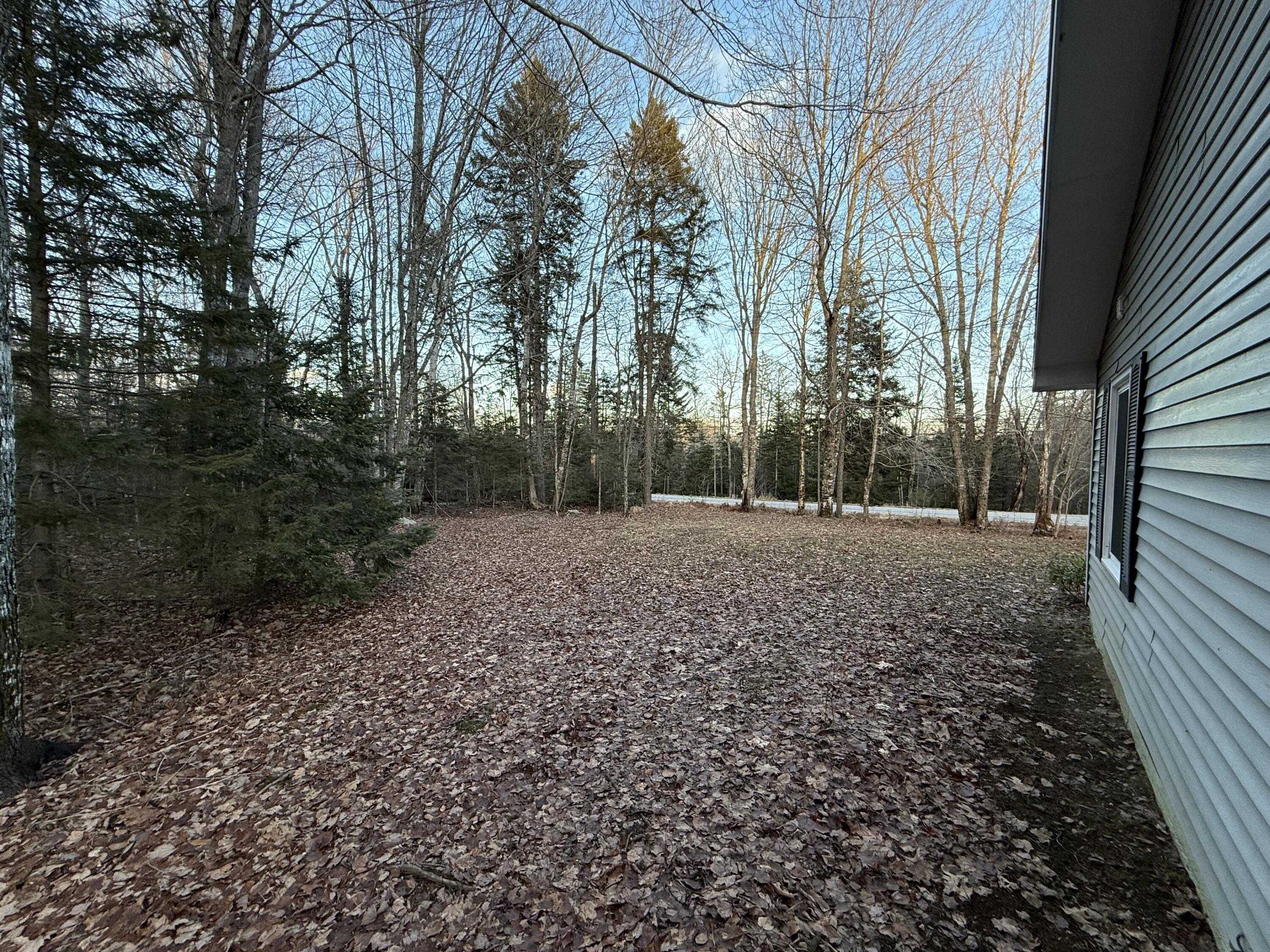 474 Bert Gray Road Sullivan, ME 04664 - Photo 5 of 14 IMG_0219