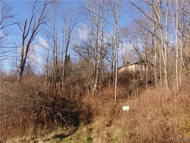 $85,000 | 5338 Bryant Hill Road, Ellicottville, NY 14731