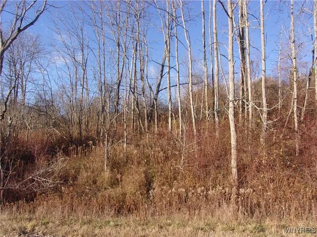 $85,000 | 5338 Bryant Hill Road, Ellicottville, NY 14731