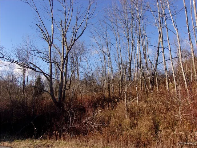 $85,000 | 5338 Bryant Hill Road, Ellicottville, NY 14731