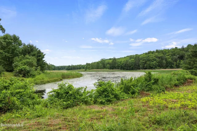 a view of lake with green space