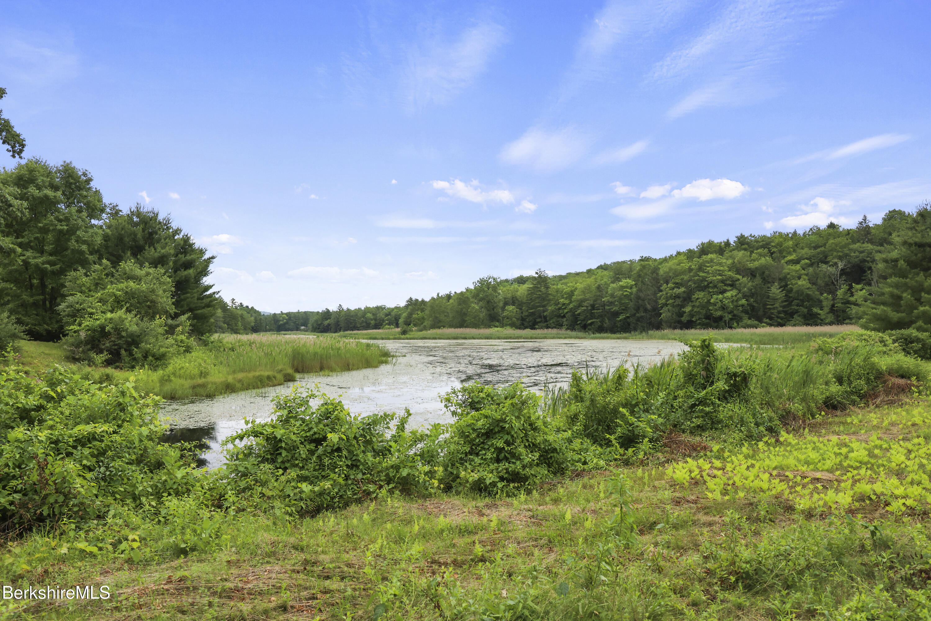 a view of lake with green space