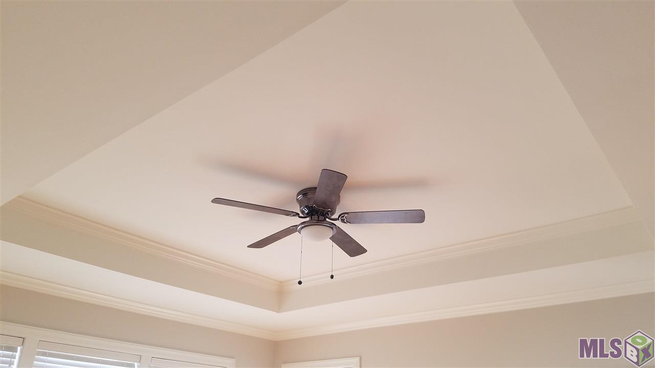 18050 Jefferson Ridge Drive Baton Rouge, LA 70817 - Photo 17 of 29 Master Bedroom Ceiling