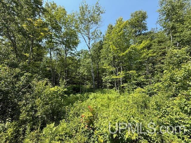 8690 Freda Road Atlantic Mine, MI 49905 - Photo 11 of 23 Gallery Image 11