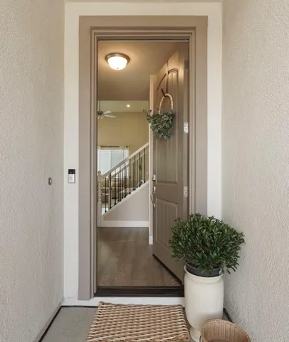a view of a porch with a potted plant