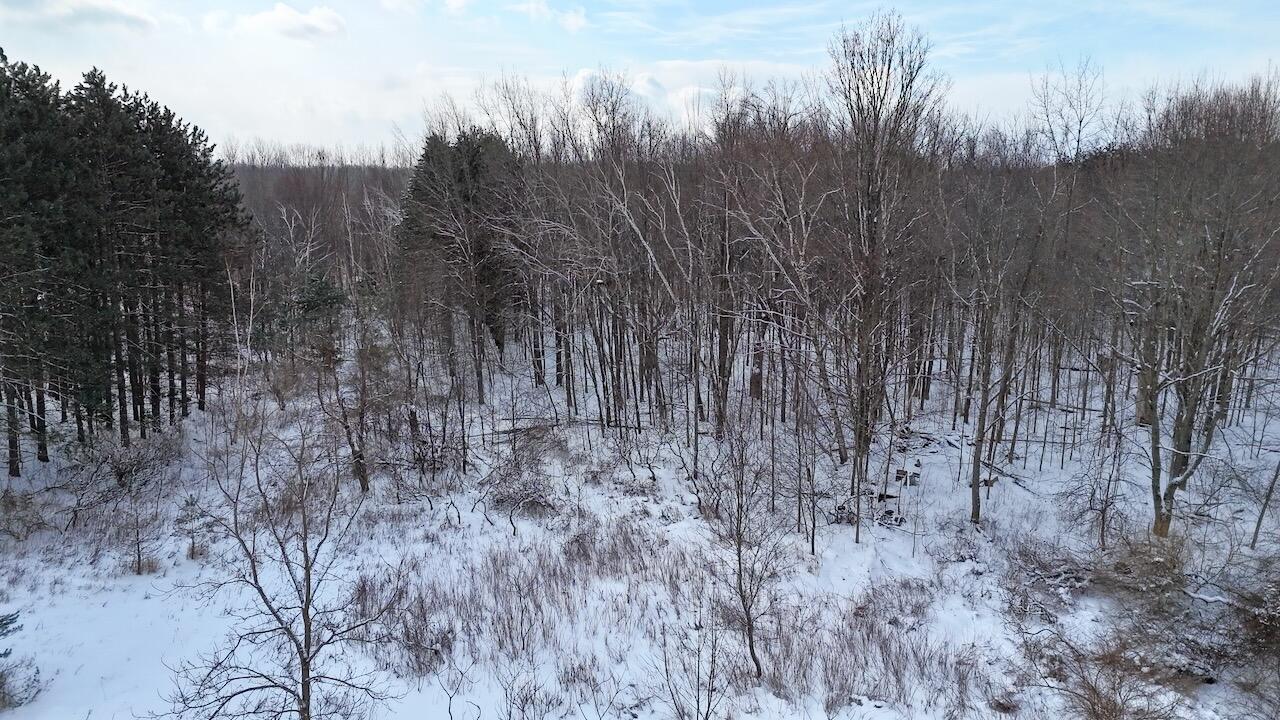 6182 Hamilton Road Harrison, MI 48625 - Photo 18 of 56