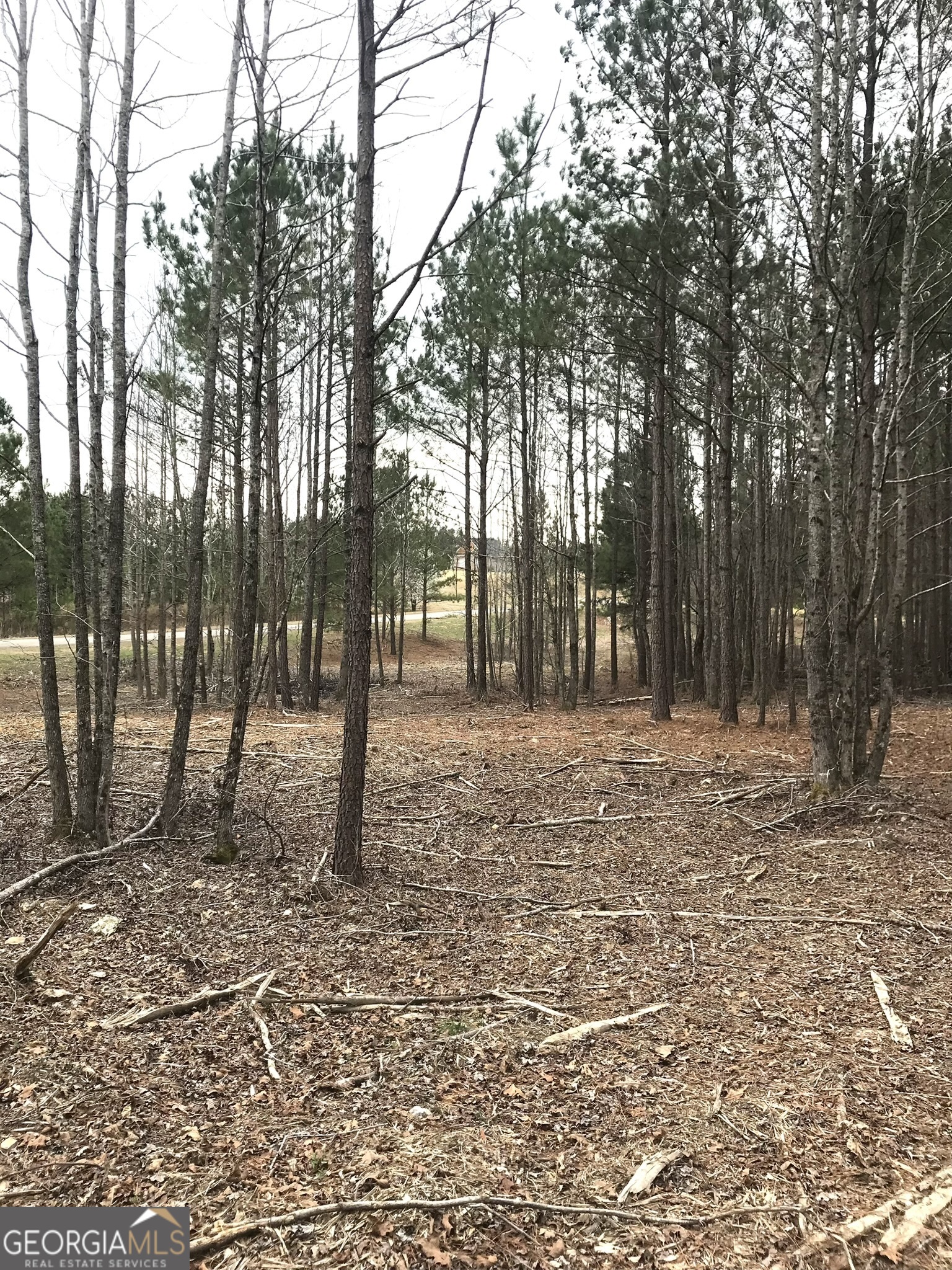 11 Charismatic Road Rome, GA 30161 - Photo 2 of 9