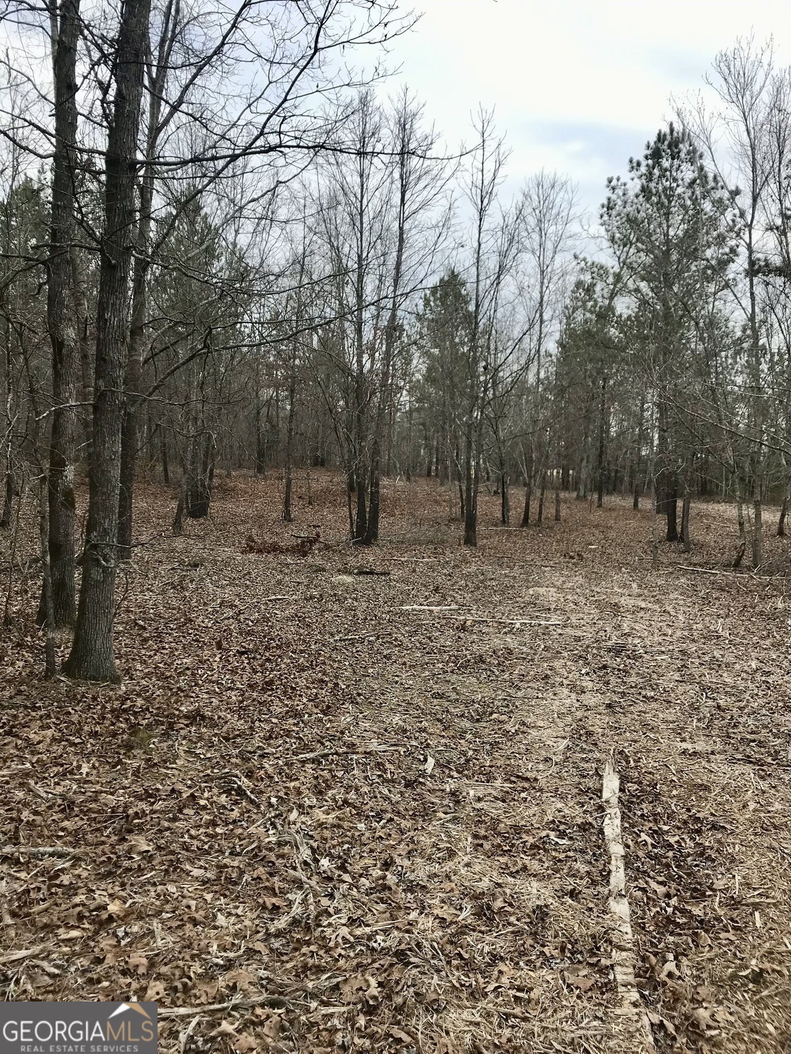 11 Charismatic Road Rome, GA 30161 - Photo 3 of 9