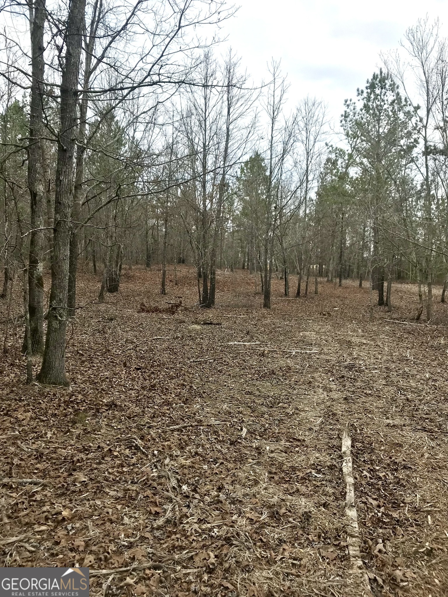 11 Charismatic Road Rome, GA 30161 - Photo 5 of 9