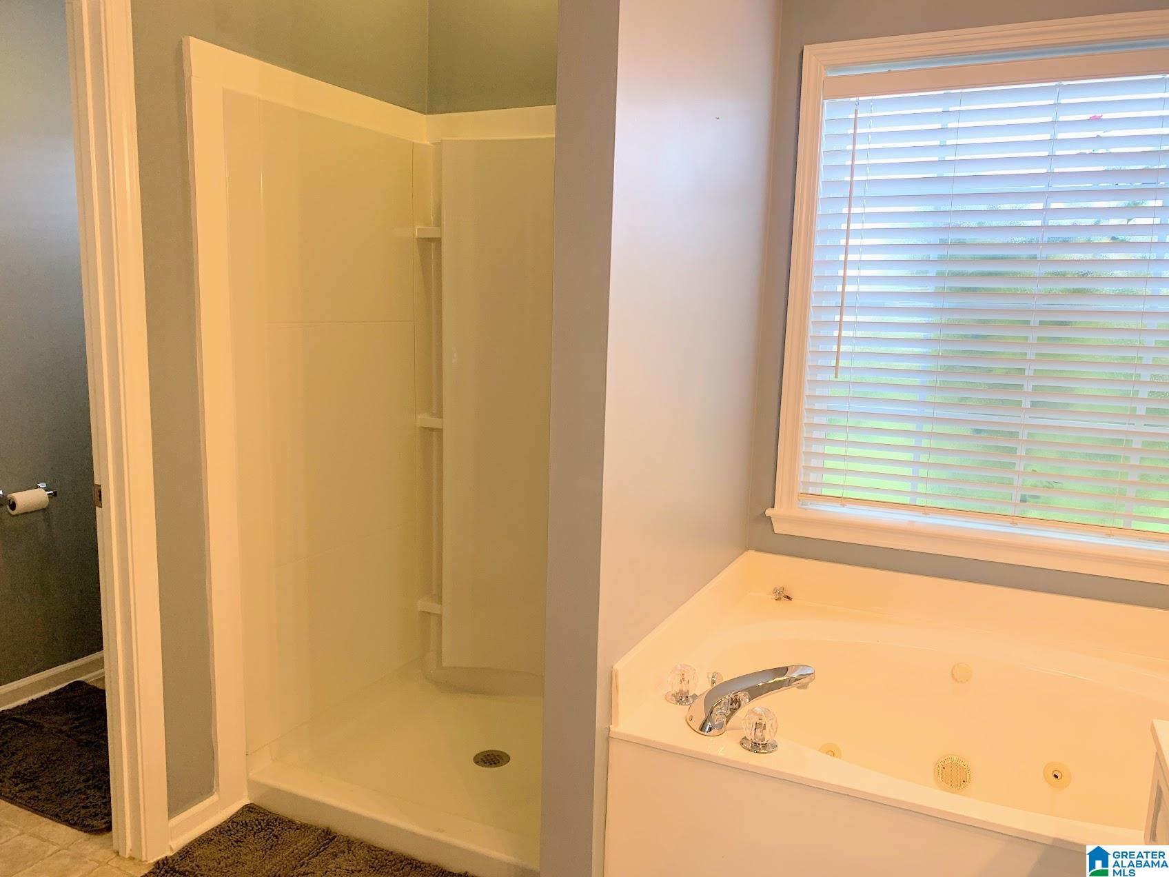 147 Silverstone Lane Alabaster, AL 35007 - Photo 9 of 21