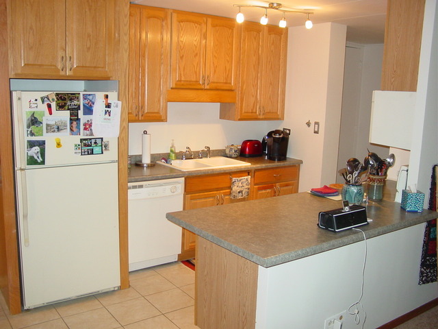 18 East Old Willow Road, Unit 425N Prospect Heights, IL 60070 - Photo 2 of 12