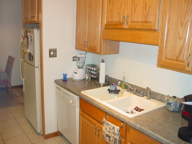 18 East Old Willow Road, Unit 425N Prospect Heights, IL 60070 - Photo 5 of 12