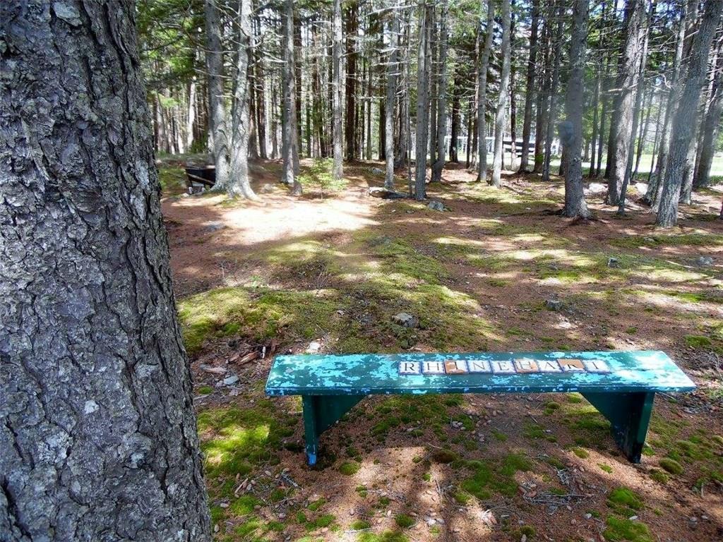 29 Elementary School Road Tenants Harbor, ME 04860 - Photo 21 of 23 Large "park-like" grounds