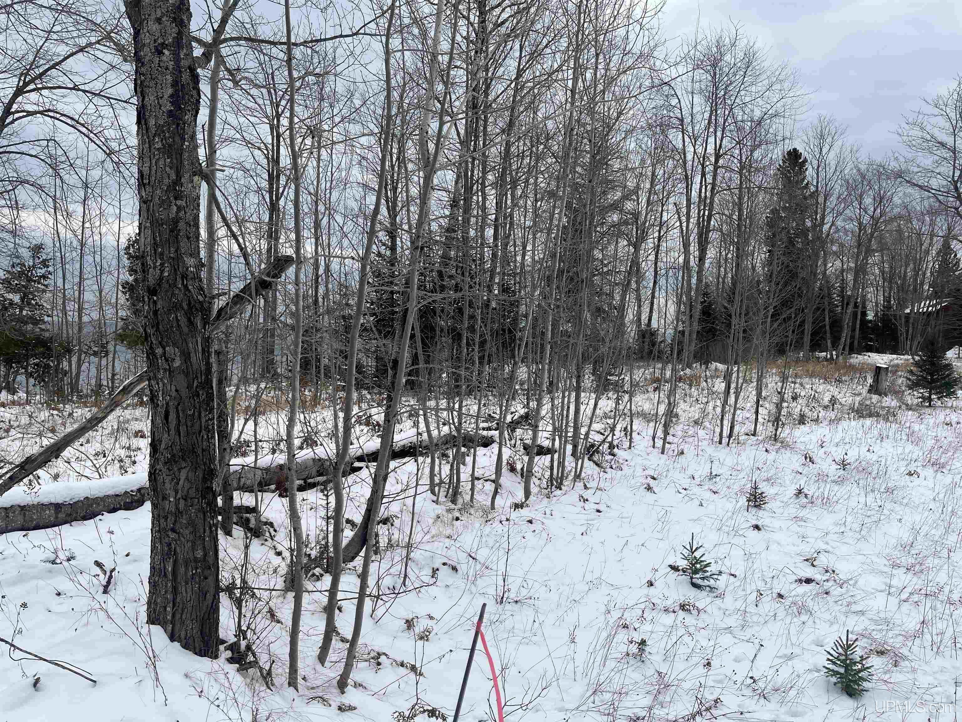3 Eagles Nest Road Marquette, MI 49855 - Photo 6 of 20