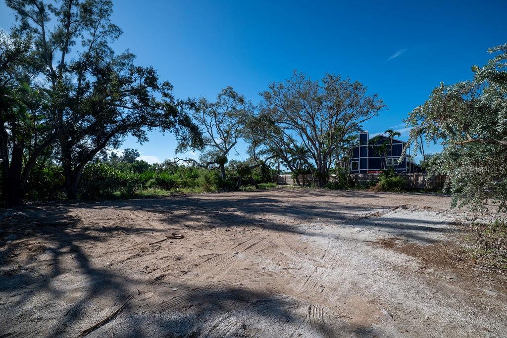7676 Midnight Pass Road Sarasota, FL 34242 - Photo 17 of 20 a view of dirt yard with a large tree