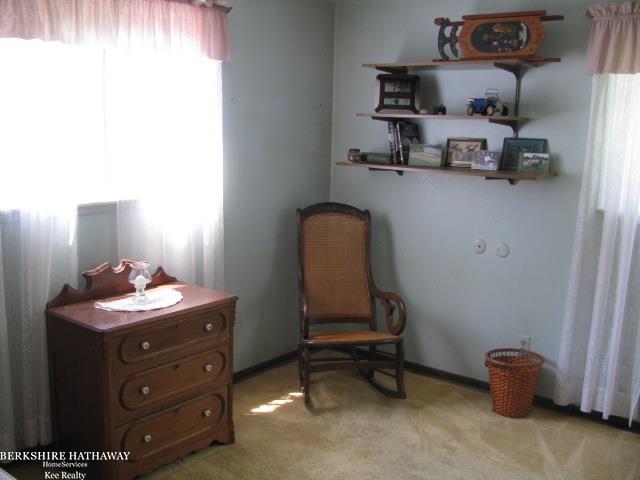 11175 West Gates Street Romeo, MI 48065 - Photo 19 of 25 31295053-18.JPG