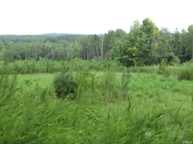 a view of a lush green forest with trees and some houses