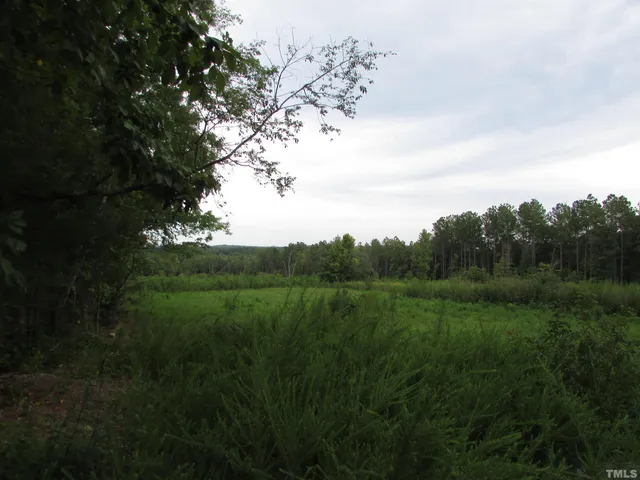 a view of a lush green space