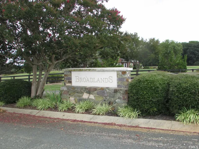 a view of a park that has a tree