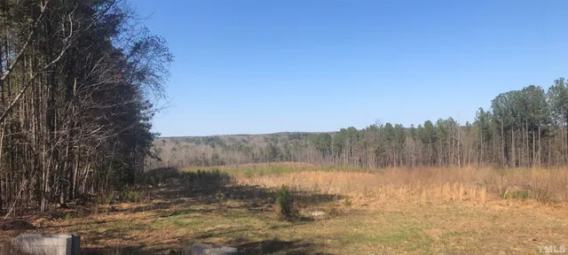 a view of a backyard of a house