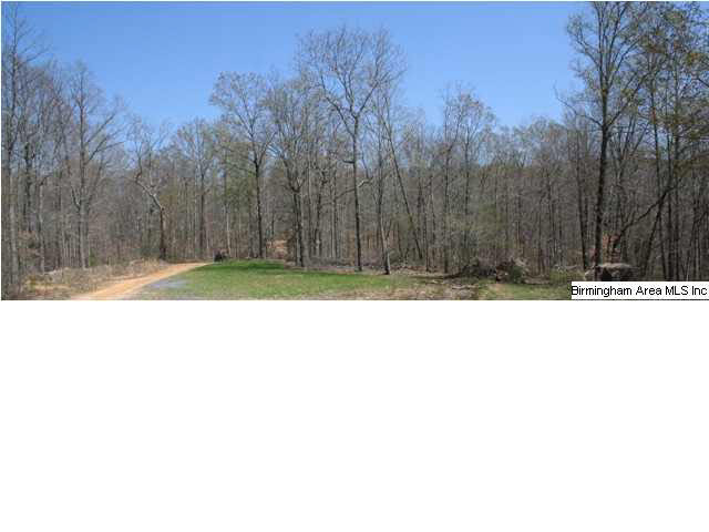 0 Silley Dean Road Northwest, Unit 277 AC Pinson, AL 35126 - Photo 14 of 19