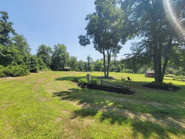 a view of a park with a tree