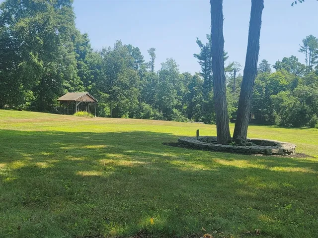 a view of a swimming pool with a yard and large trees