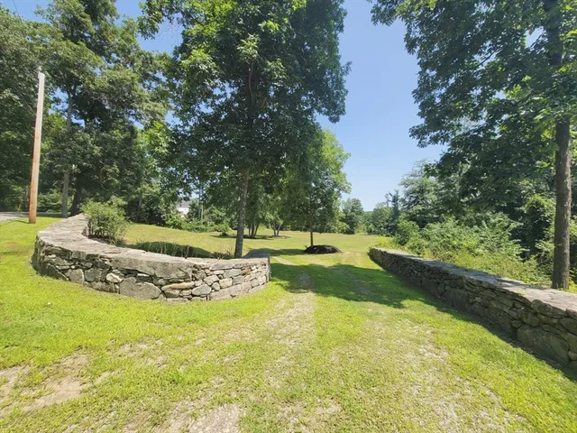 a view of a garden with large trees