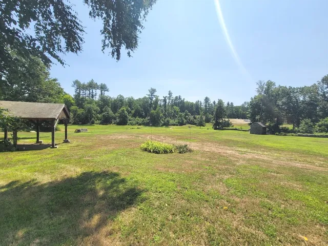 a swimming pool with lots of tress in front of it