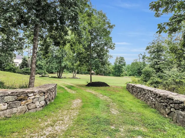 a view of a park with large trees