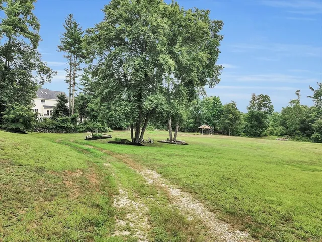 a view of outdoor space with green field and trees