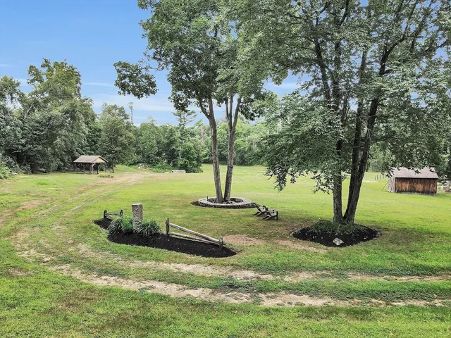 a view of a park with large trees
