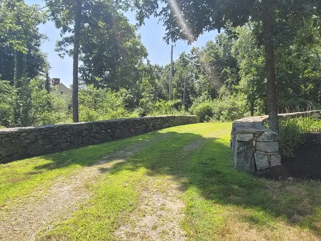 a view of a backyard with plants and a patio