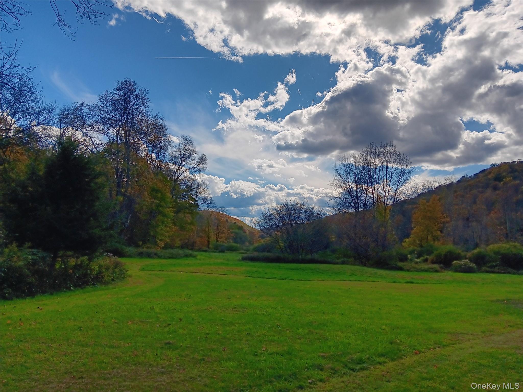 66 Milton Smith Road Long Eddy, NY 12760 - Photo 18 of 25 Enjoy the changing colors and natural beauty of every season from your own sun-filled open meadow.