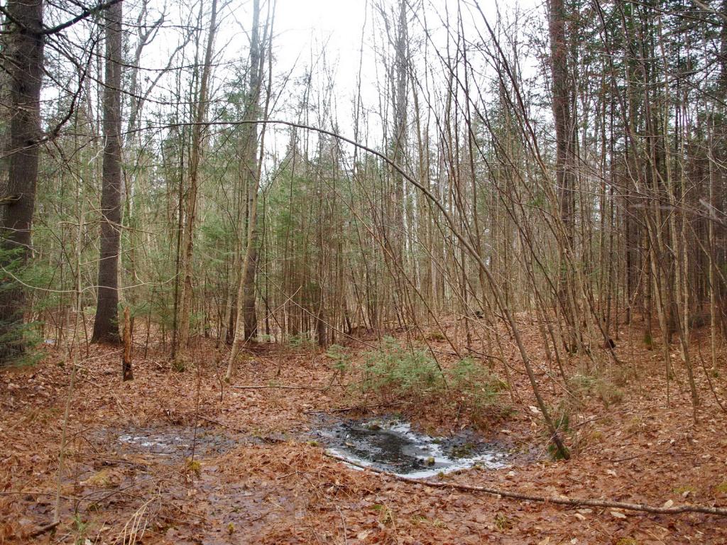 Cherry Valley Road Bethlehem, NH 03574 - Photo 11 of 26