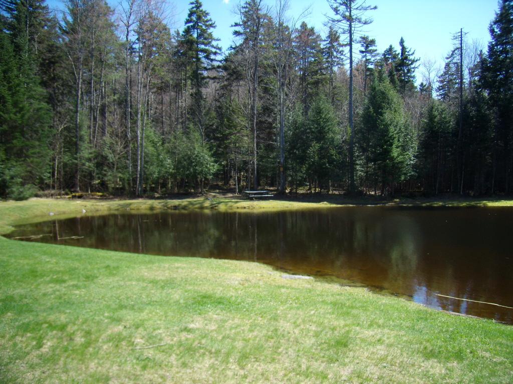 Cherry Valley Road Bethlehem, NH 03574 - Photo 25 of 26