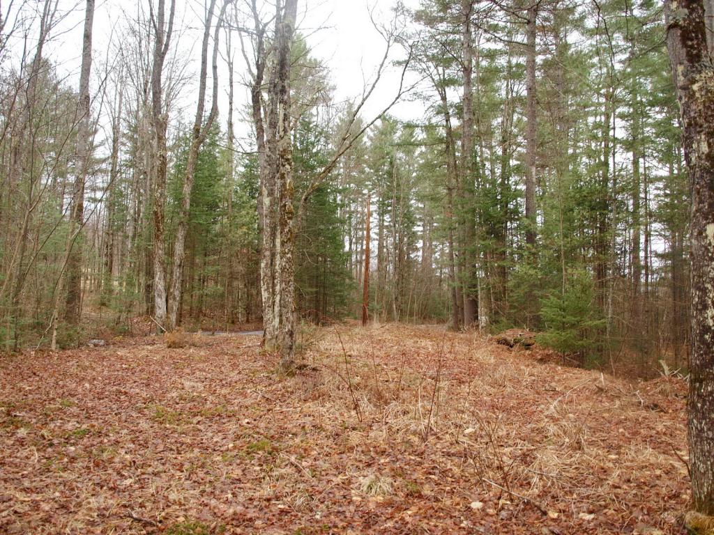 Cherry Valley Road Bethlehem, NH 03574 - Photo 6 of 26