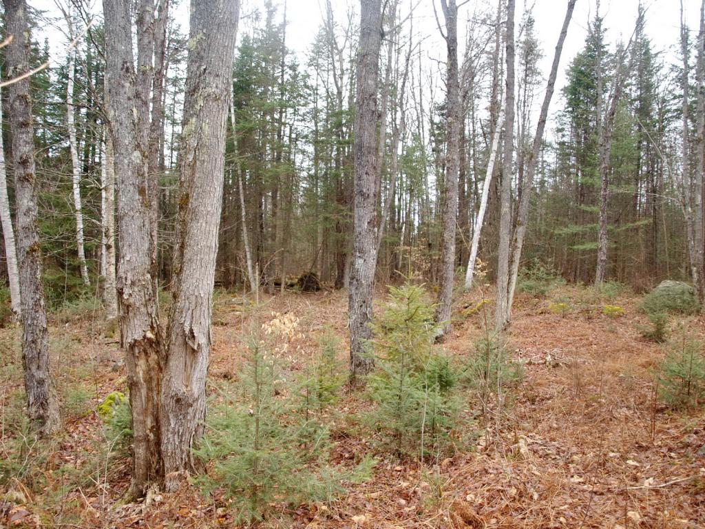Cherry Valley Road Bethlehem, NH 03574 - Photo 7 of 26